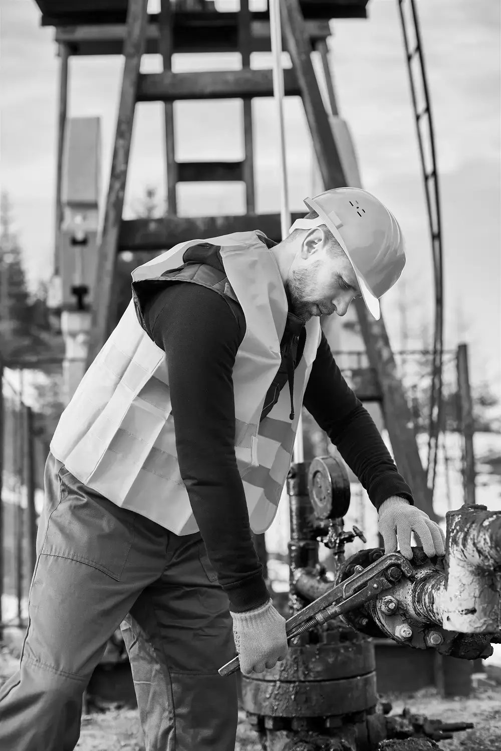 AdobeStock_355624631 1